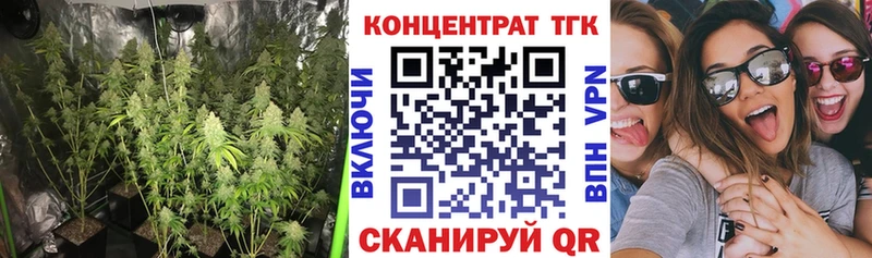 blacksprut tor  где купить   Ужур  Дистиллят ТГК THC oil 