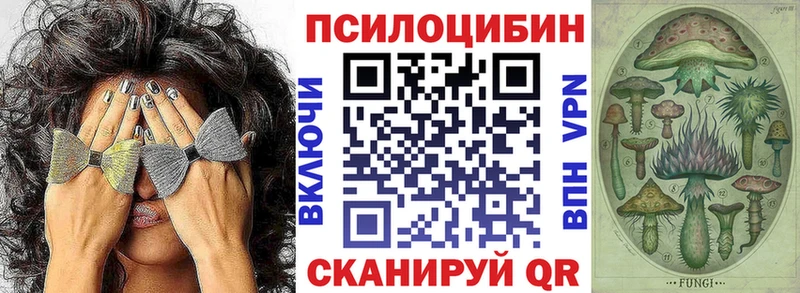 хочу   Ужур  Псилоцибиновые грибы мухоморы 
