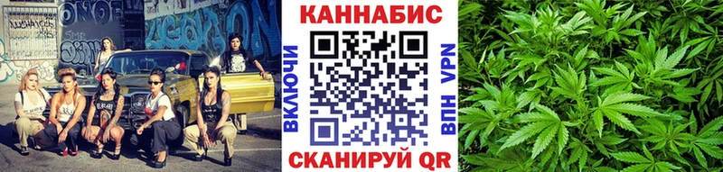 где купить наркоту  Ужур  Бошки Шишки конопля 